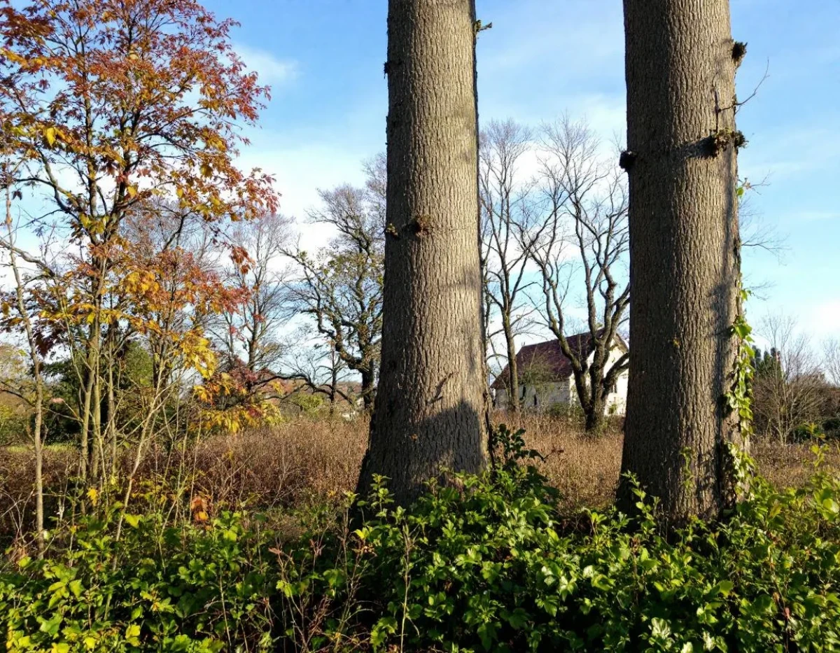 Le Droit Administratif : L'épine dorsale de la relation entre l'État et les citoyens